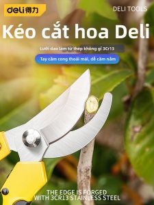 deli | Kéo Cắt Cây Tiết Kiệm Công Sức