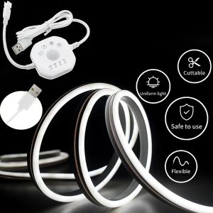 USB Motion Sensor Cabinet Strip Lights 5V Counter Closet Strip Light Motion & Night Sensor Tape Motion Activated Light Strip