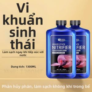 Yee | Bộ Ổn Định Nước Lọc Vi Khuẩn Cho Bể Cá