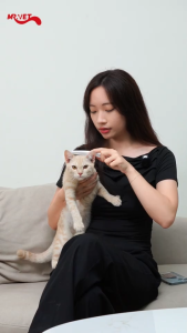 thức ăn hạt MRVET E1 ( Dưỡng Lông Chuyên Sâu Từ Dầu Cá Tinh Khiết 80% Đạm Động Vật) dành cho mèo - T3 PETS SHOP