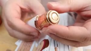 Portable Professional Women's Hair Remover: A Comprehensive Guide