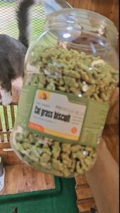 Cat Grass Biscuit Frozen Diet Cat Snack Kuki Catnip Untuk Kucing Biskut Kucing Makanan Penambah Berat