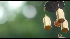 TOSHIBA DWS-22ASG(K) 5L PORTABLE DISHWASHER - WHITE - 2 TICKS