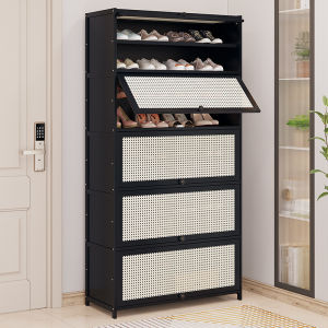 Dustproof Multi-level Opening Shoe Cabinet