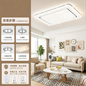 RUILUO | Protective Eye Full Spectrum Ceiling Light Modern Minimalist Design