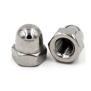 DIN1587 M3 M4 M5 M6 304 Stainless Steel Hexagon Cap Nuts