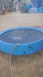 สระว่ายน้ำน้ำพุ อ่างอาบน้ำสัตว์เลี้ยง สระว่ายน้ำสัตว์เลี้ยงและเด็ก 160*30cm สระน้ำสัตว์เลี้ยง อ่างอาบน้ำสำหรับสัตว์เลี้ยงอเนกประสงค์พับ อ่างน้ำเด็ก สระว่ายน้ำเด็ก สระน้ำครอบครัว