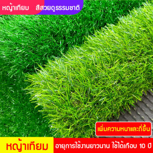 หญ้าเทียม หญ้าเทียมปูพื้น อุปกรณ์ตกแต่งสวน แผ่นหญ้าเทียม หญ้าปูสนาม หญ้าปลอม หญ้าสูง 2cm อุปกรณ์ตกแต่งสวน หญ้า