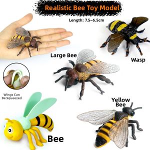 Educational Bee Model Toy