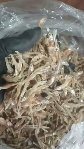 Unsalted Dilis (SmallMediumLarge)
