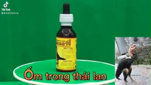 VITAMIN ỐM TRONG THÁI LAN 1 Hũ 60ml Gà Nhợt Nhạt Phục Hồi Sau ĐáGà ốm Da Tái Trắnggiúp gà tăng nước máu.nuôi mau tới đá cho gà đá gà chọi gà tre