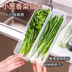 Food Grade PP Herb Storage Box ness Preserver for Onion Garlic Egg Noodles Refrigerator Organizer Long Rectangle Shape Home Use