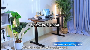 ⚡SG Delivery⚡Smart Desk Electric Standing Desk Table Adjustable Height Memory Ergonomic Table Office Home with Gift