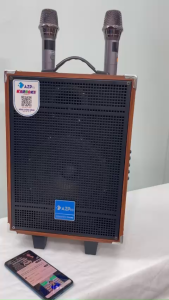 Loa kéo Bluetooth chính hãng AZPROAZ-10-A Bass 25 thùng gỗ cao cấpTặng 2 mc không dây