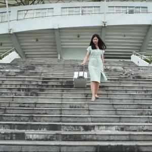 LAOSHIDAISHU Koper Type 976 aluminium SIZE 20/22/24 TSA LOCK