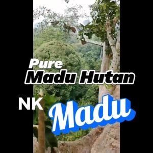Madu Asli Murni Sialang Nektar Akasia Madu Hutan Sumatera 100% Alami isi 460ml/650gr