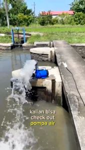 pompa air modifikasi suryaguna type jet 250 pipa in/out 2 dim hemat listrik debit air besar cocok untuk isi kolam ikan