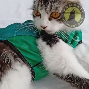 Baju Kucing Model Ekspedisi Grab: Aksesoris Stylish untuk Hewan Peliharaan