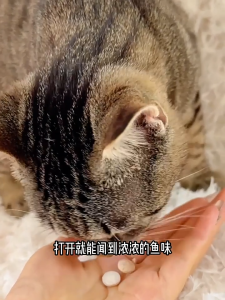 Pet fish oil宠物鱼油 deep-sea fish oil tablets cat and dog specific vitamin tablets nutritional supplements hair beauty skincare and hair loss prevention