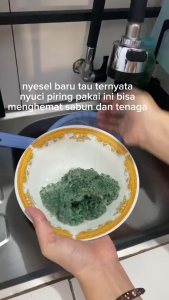 10 Pcs Jala Cuci Piring Sabut Jaring Gosok Panci