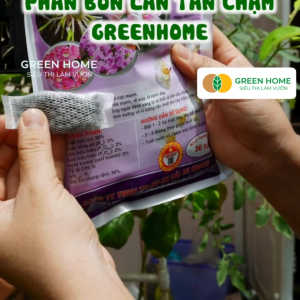 Mua 5 tặng 1 -  Phân Bón Lan Greenhome Bao 36 Túi Lưới Tan Chậm Không Mùi Hôi Dưỡng Lan Ra Rễ Xanh Tốt Dùng Tốt Cho Sen Đá Kiểng