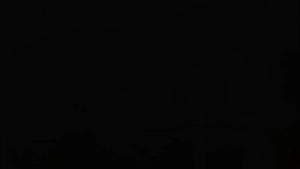 Deka Remote Control Ceiling Fan F5DC PRO CPW 56 inch DC Motor Ceiling Fan 5 Blades Copper Wood