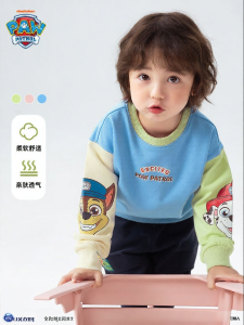Paw Patrol | Autumn and Spring Fashion Casual Color-blocked Boys Hoodie
