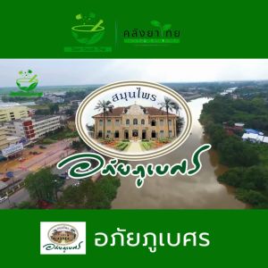 เปลี่ยนแปลงแคปซูลเพชรสังฆาต อภัยภูเบศร ขนาดบรรจุ 10 แคปซูล (10 แผง)