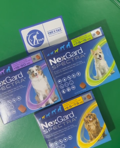 Hộp 3 viên NEXGARD SPECTRA phòng và trị nội ngoại ký sinh bọ chét ve giun tim giun tròn và ghẻ trên chó