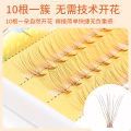 Browneye False Eyelashes Coffee Brown 10 Pieces per Box Natural Looking Doll-like Extensions for Any Skin Type. 