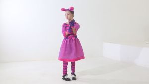 Halloween Childrens Costume Alice in Wonderland Role Play cos Clothing Cheshire Cat Costumes