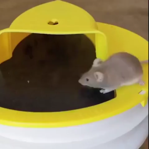 Jebakan Tikus Tutup Ember Tong Perangkap Tikus Jatuh Lubang Mouse Trap Reusable Flip Side Bucklet Lid Pail Gravitasi Otomatis