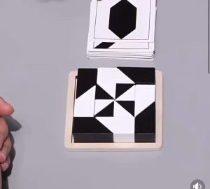 LJE Solo player hiding black and white building blocks