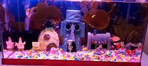 DIYMO 🐟10 years without water change🐠 Water Quality Clarifier Agent Aquarium Cleaner Improve water quality safely Purify the fish tank deodorize do not harm the fish Aquarium Bacteria Bio-active Nitrifying Liquid