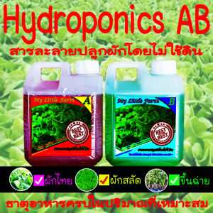 ปูทอ 1000 ml - AB Hydroponics - 400 ลิตร - ผสมด้วย 400 ลิตร - ดีที่สุด - การคุ้มที่สุด คุ้มที่นิยม