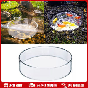 6.5cm Aquarium Feeding Bowl Fish Tank Feeder Shrimp Tropical Fish Ratfish Glass Feeding Dish Clear Round Tray Acrylic Transparent Floating Aquarium Feeder round Dish Bottom Feeder Shrimp Food Box Fish And Shrimp Feeding Accessory