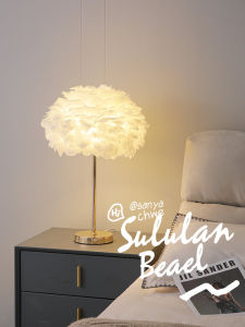 Oudawei North European Style Bedroom Living Room Decorative Desk Lamp Iron Body Feather Shade LED Light Source Non Intelligent Control