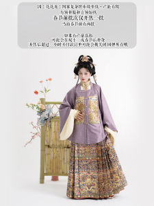 Dragon Year Limited Edition Ming Dynasty New Year Style Hanfu Square Collar Half Sleeve Mian