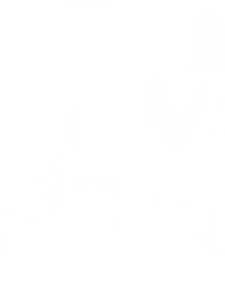 Moyu Rubiks Cube Two Third-Level 34 Fourth and Fifth Stages Smooth Magnetic Force Game-Specific Suit Full Set of Beginner Educational Toys