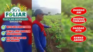 3GS SUPER FOLIAR (JAPAN TECHNOLOGY) SOIL & PLANT ADJUVANT BIO-STIMULANT ORGANIC LIQUID FERTILIZER