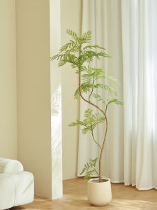 Artificial Green Plant Jacaranda Mimosifolia High-End Affordable Luxury Potted Bionic Plant Indoor Living Room Cream Style Decoration Fake Trees