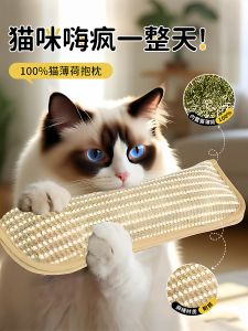 VOA | Catnip Chew-Resistant Self-Amusing Cat Toy Pillow