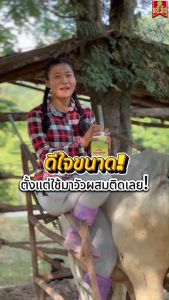 ภูมิต้านทานดี สัตว์ไม่มีโรค รับสมดุลของฮอร์โมน เร่งการสืบพันธุ์ เพื่อการผสมติดง่าย ไคโตซานพลัสฝาทอง2ขวด อาหารสัตว์ ใช้ได้กับสัตว์ทุกชนิด ส่งไว