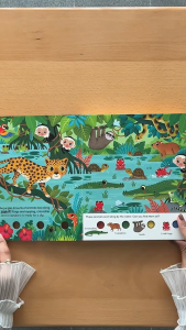 Ravensburger - Search & Shine Book Series