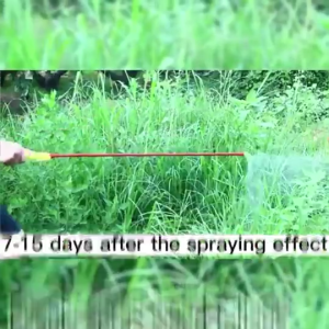 50G Herbicide Hexazinone Weed Grass Tree Bamboo Killer Chemical Root Removal Glyphosate