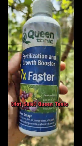 [BIG DEAL] Queen Tonic 250ml 500ml 1000ml: Premium Plant Nutrient - 7x Faster Root & Bloom Booster For Organic Gardening