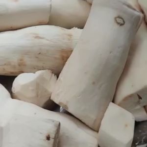 Keripik Singkong Beli 1 Gratis 1