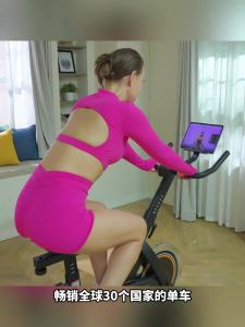 Indoor Spin Bike Indoor Exercise Bicycle Trainer Stationary Bike Cycling Exercise Machine Ultra-Quiet Indoor Fitness Bike A1 动感单车