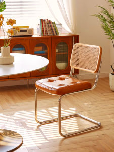 MU FENG ZHI NAN | Luxurious And Comfortable Plastic Rattan Floating Dining Chair