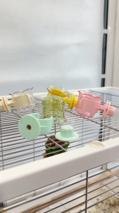 YOOSOPET Flower-Shaped Parrot Food Cup Transparent Bird Feeder Bowl Birds Pet Lovebird Bekas Makanan Burung Nuri